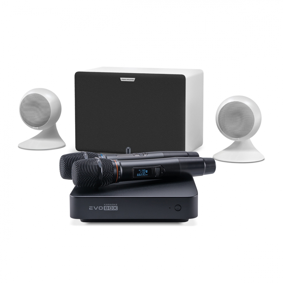 караоке-комплект EVOBOX Classic + EvoSound Sphere 2.1 в Магасе