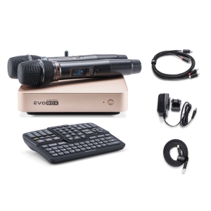 EVOBOX Classic караоке-система для дома в Магасе